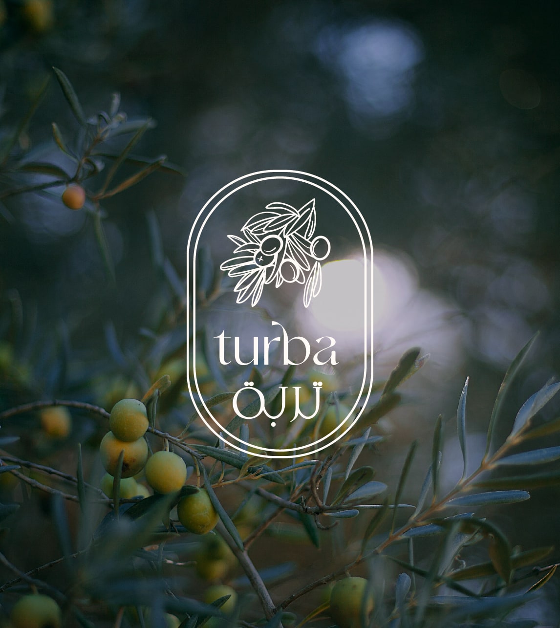 Turba Olive Oil